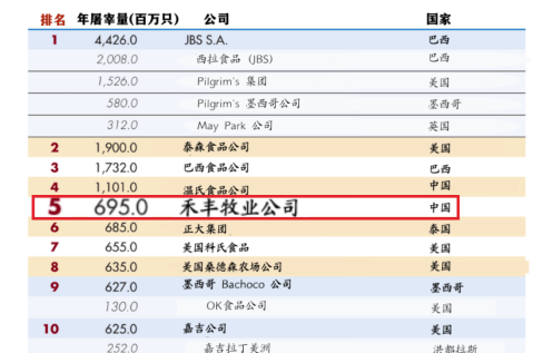 2022全球肉鸡生产企业排名出炉 禾丰股份位列第五位